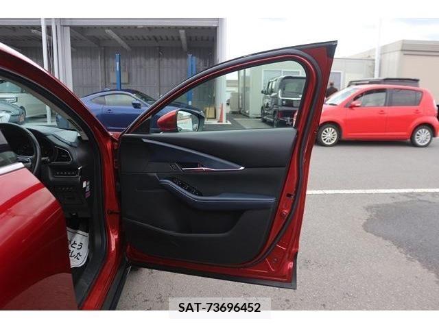 Mazda CX-30 2019-10 235975-8