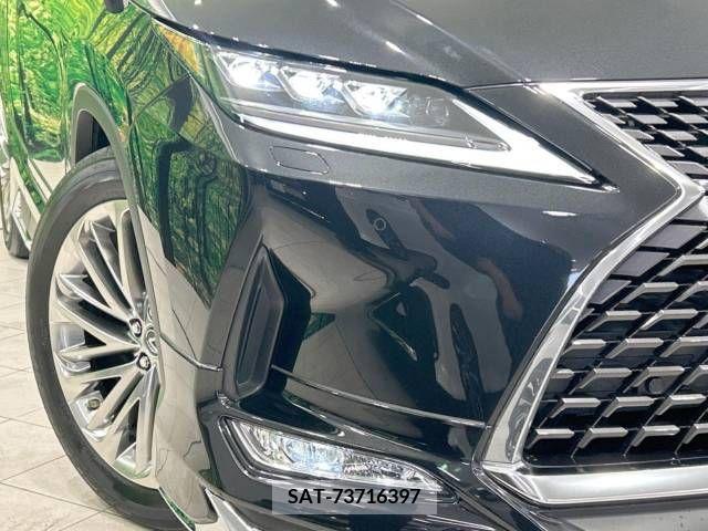 Lexus RX 2019-11 326624-12