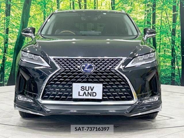 Lexus RX 2019-11 326624-14