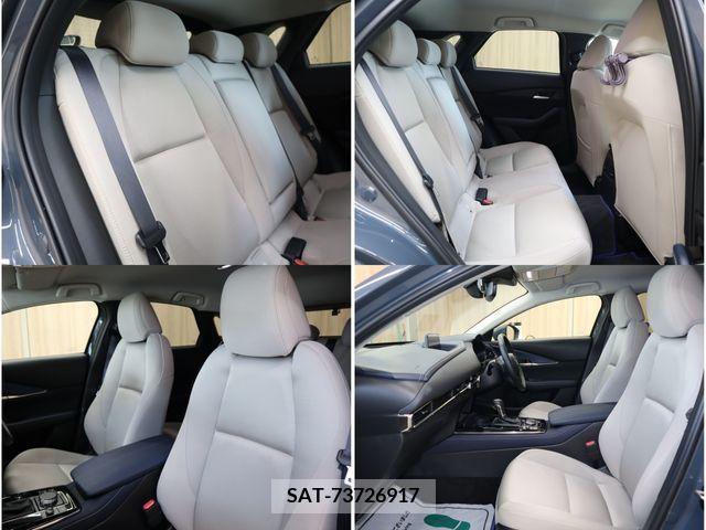 Mazda CX-30 2019-11 396199-18