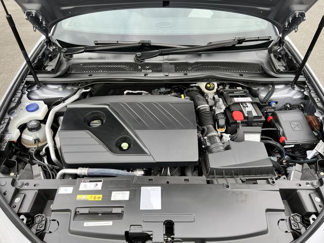 Peugeot 508 2022-03 16134-29