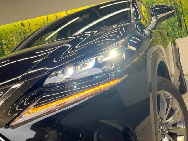 Lexus NX 2015-11 19756-13
