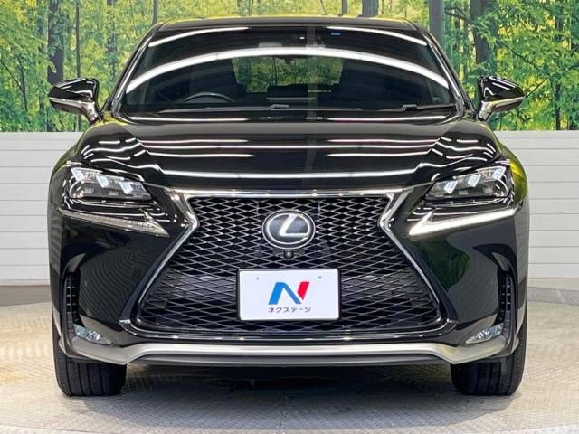 Lexus NX 2015-11 19756-15