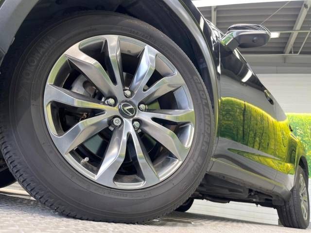 Lexus NX 2015-11 19756-14
