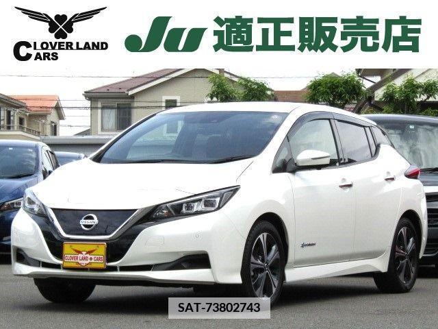 Nissan LEAF 2020-12 376037-0