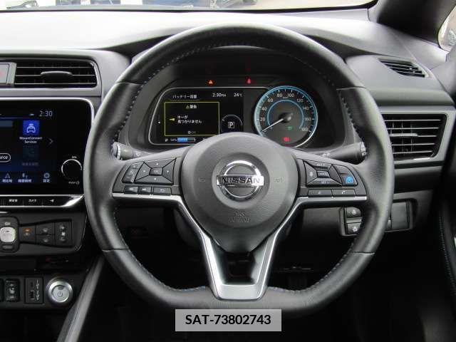 Nissan LEAF 2020-12 376037-14