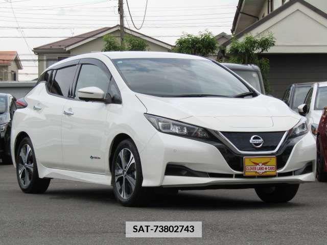 Nissan LEAF 2020-12 376037-9