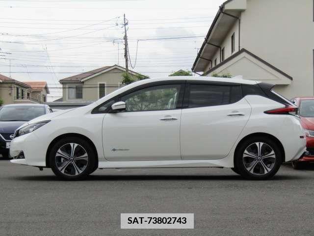 Nissan LEAF 2020-12 376037-7