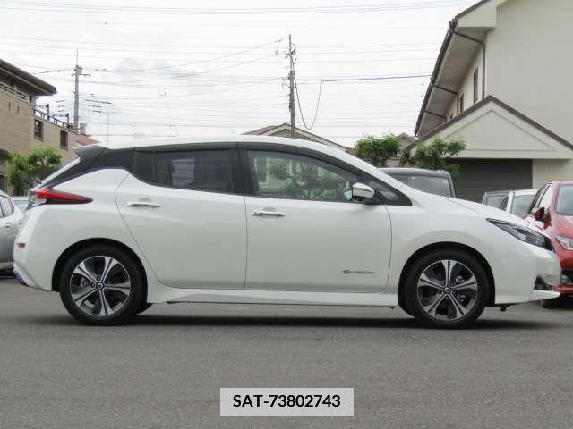 Nissan LEAF 2020-12 376037-6