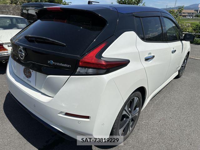 Nissan LEAF 2017-10 383163-6