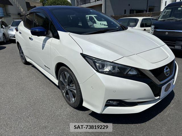 Nissan LEAF 2017-10 383163-0