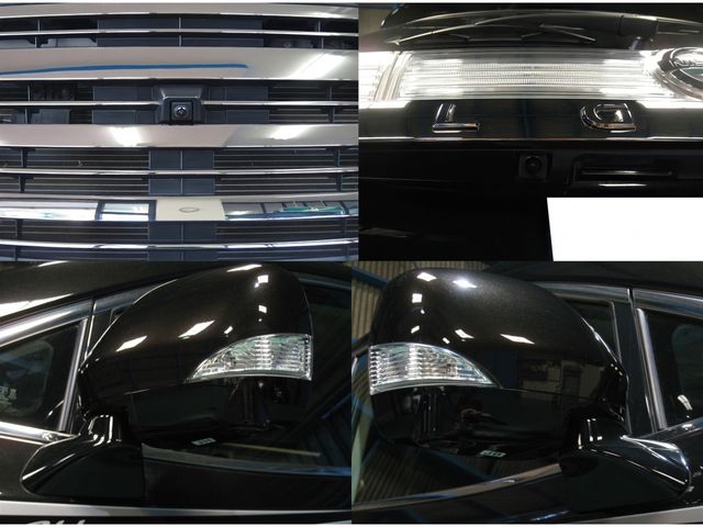 Nissan ELGRAND 2019-01 3850-13