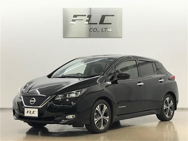 Nissan LEAF 2018-08 3713-0
