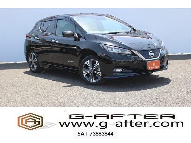 Nissan LEAF 2019-09 244733-0
