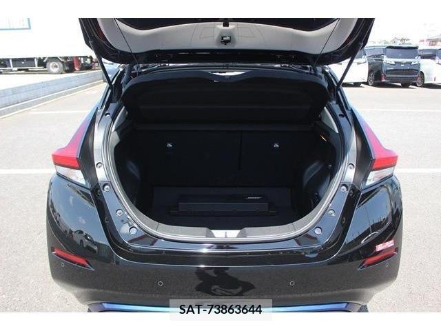 Nissan LEAF 2019-09 244733-18