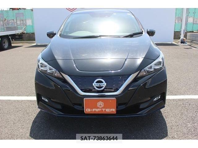 Nissan LEAF 2019-09 244733-7