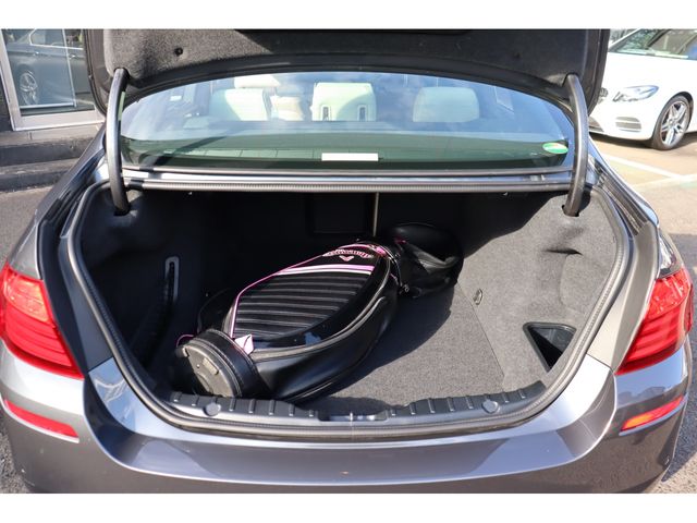 Bmw 5 SERIES 2016-01 14026-23