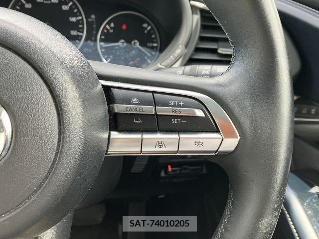 Mazda CX-30 2019-10 302100-15