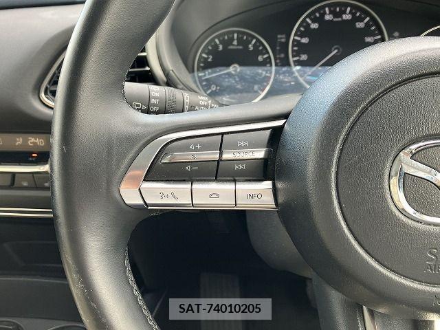 Mazda CX-30 2019-10 302100-14