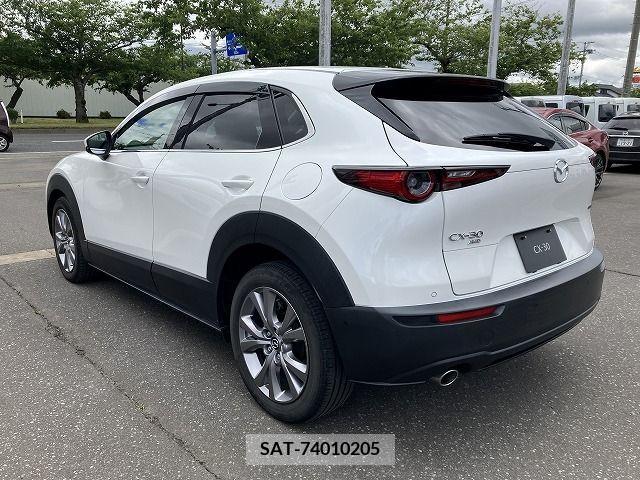 Mazda CX-30 2019-10 302100-8