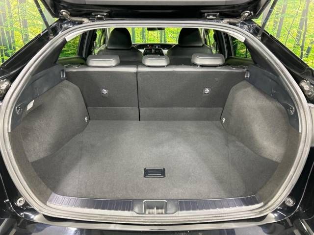 Toyota PRIUS 2016-10 19696-10
