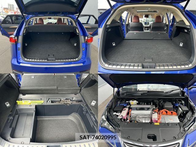 Lexus NX 2015-03 362969-25