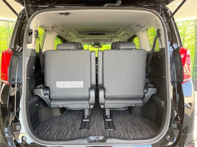 Toyota ALPHARD 2020-09 10486-11