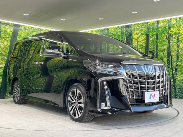 Toyota ALPHARD 2020-09 10486-17