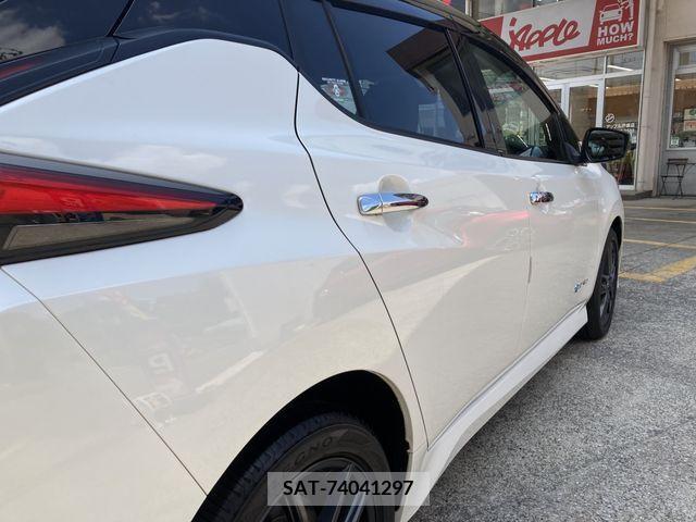 Nissan LEAF 2020-03 367055-5
