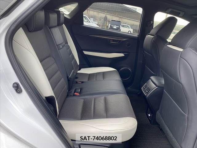 Lexus NX 2019-10 275726-17
