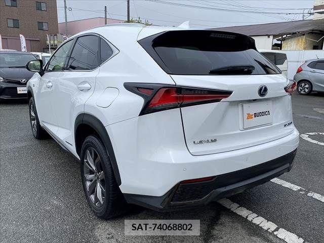 Lexus NX 2019-10 275726-14