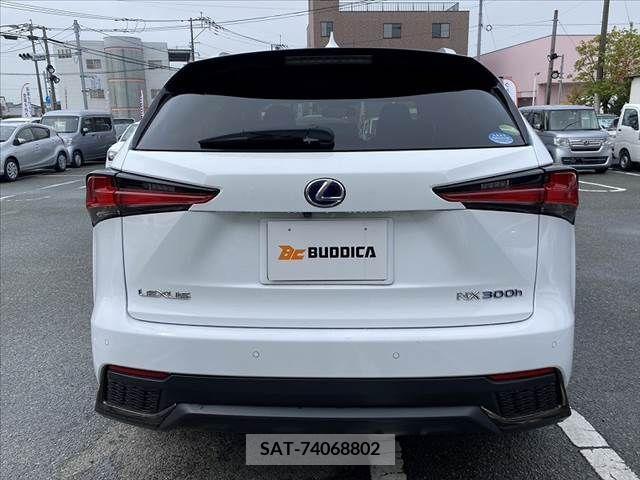 Lexus NX 2019-10 275726-13