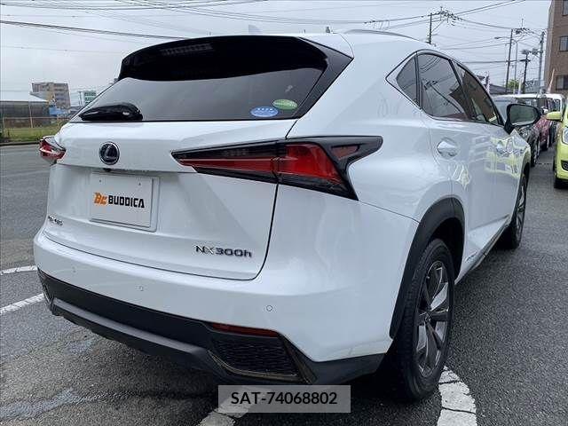 Lexus NX 2019-10 275726-12