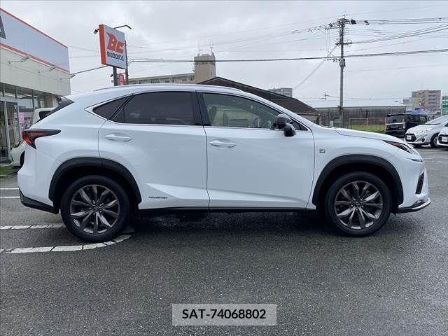 Lexus NX 2019-10 275726-11
