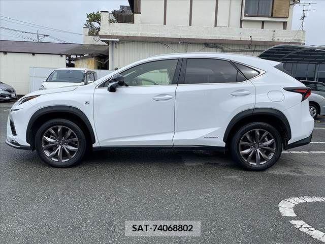 Lexus NX 2019-10 275726-10