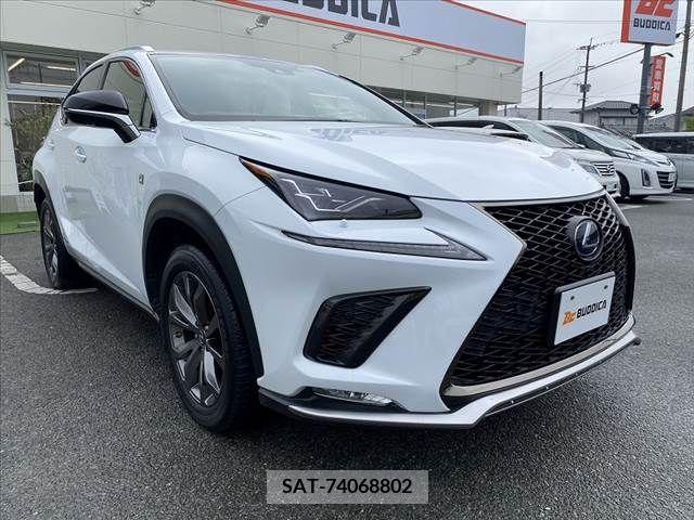 Lexus NX 2019-10 275726-9