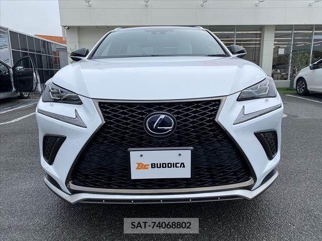 Lexus NX 2019-10 275726-8