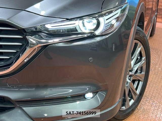 Mazda CX-8 2019-01 383593-13