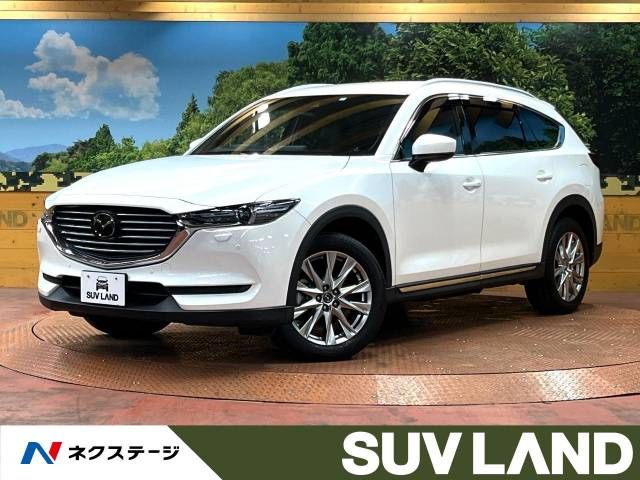 Mazda CX-8 2018-07 185109-0