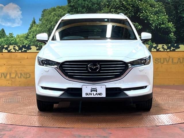 Mazda CX-8 2018-07 185109-15