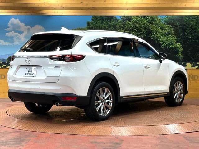 Mazda CX-8 2018-07 185109-18