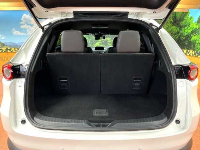 Mazda CX-8 2018-07 185109-11
