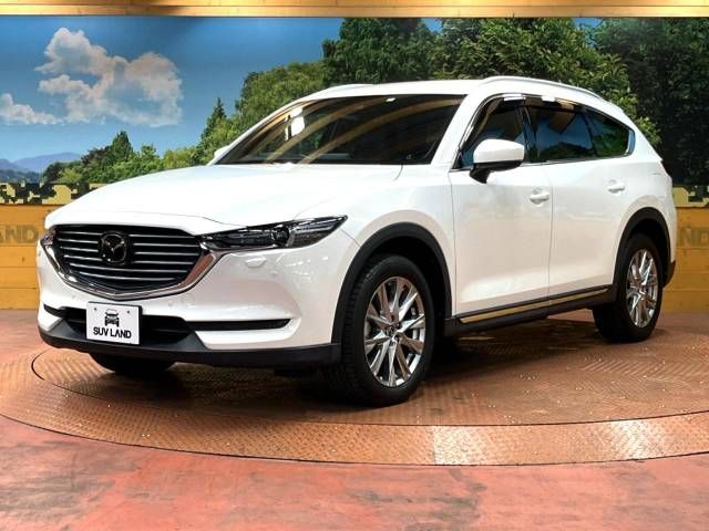Mazda CX-8 2018-07 185109-17