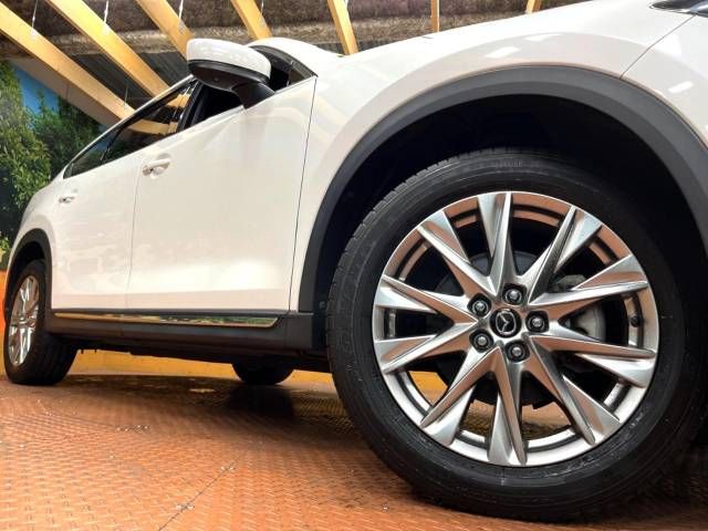 Mazda CX-8 2018-07 185109-13