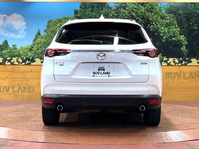 Mazda CX-8 2018-07 185109-16