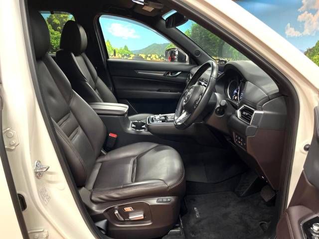 Mazda CX-8 2018-07 185109-8