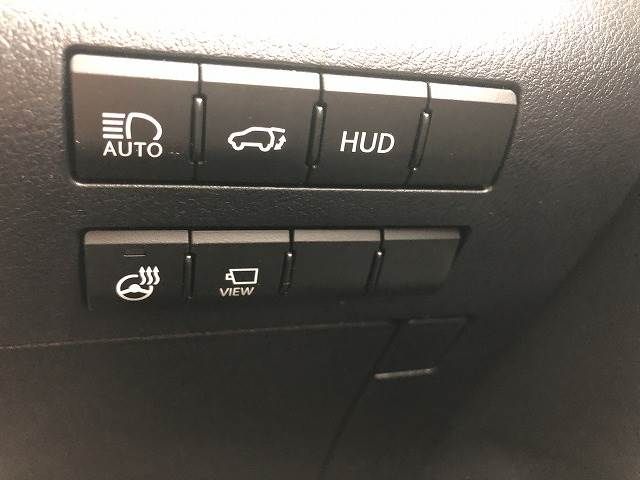 Lexus RX 2020-05 6787-6