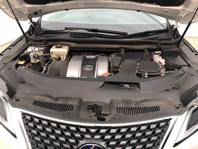 Lexus RX 2020-05 6787-15