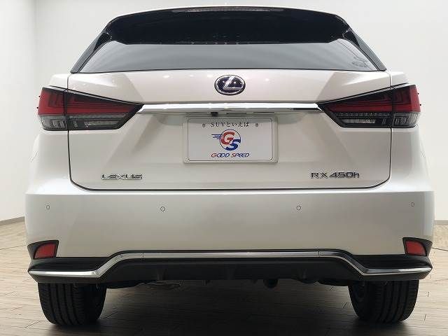 Lexus RX 2020-05 6787-18