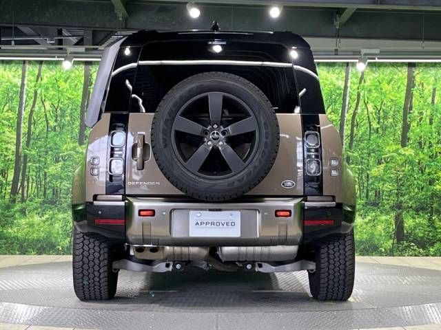 ROVER DEFENDER 2022-02 181768-17